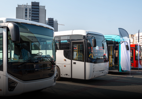 Buses