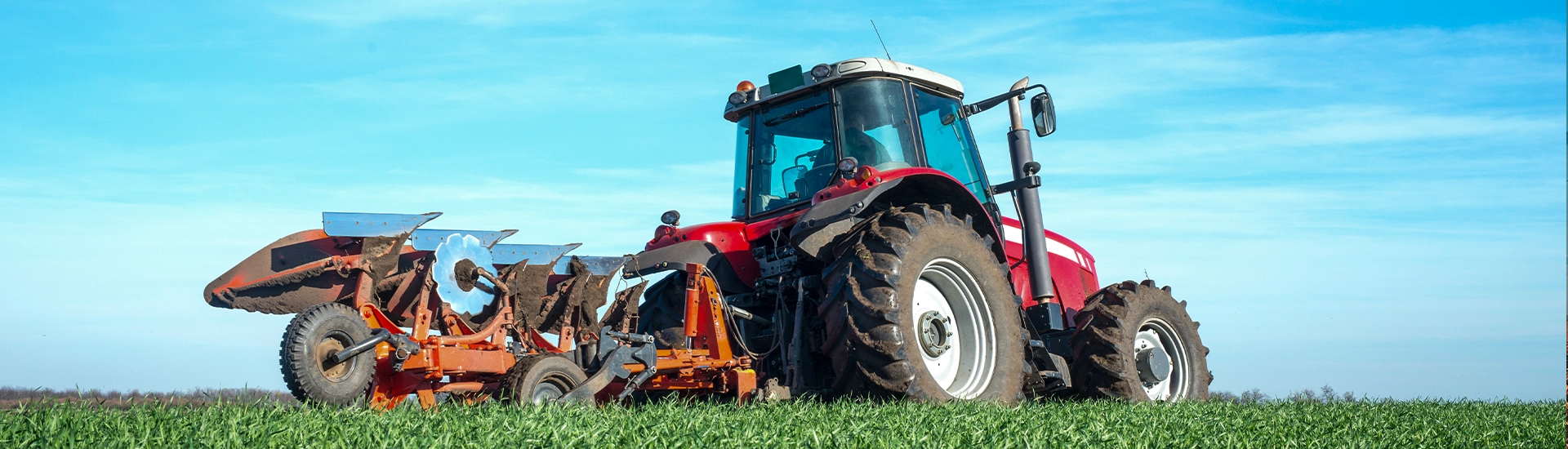 Green Gold Flowers Private Limited