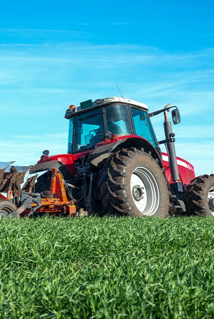 Green Gold Flowers Private Limited