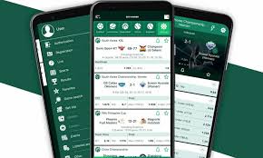 Understanding the BetWinner Sign In Process -831218089